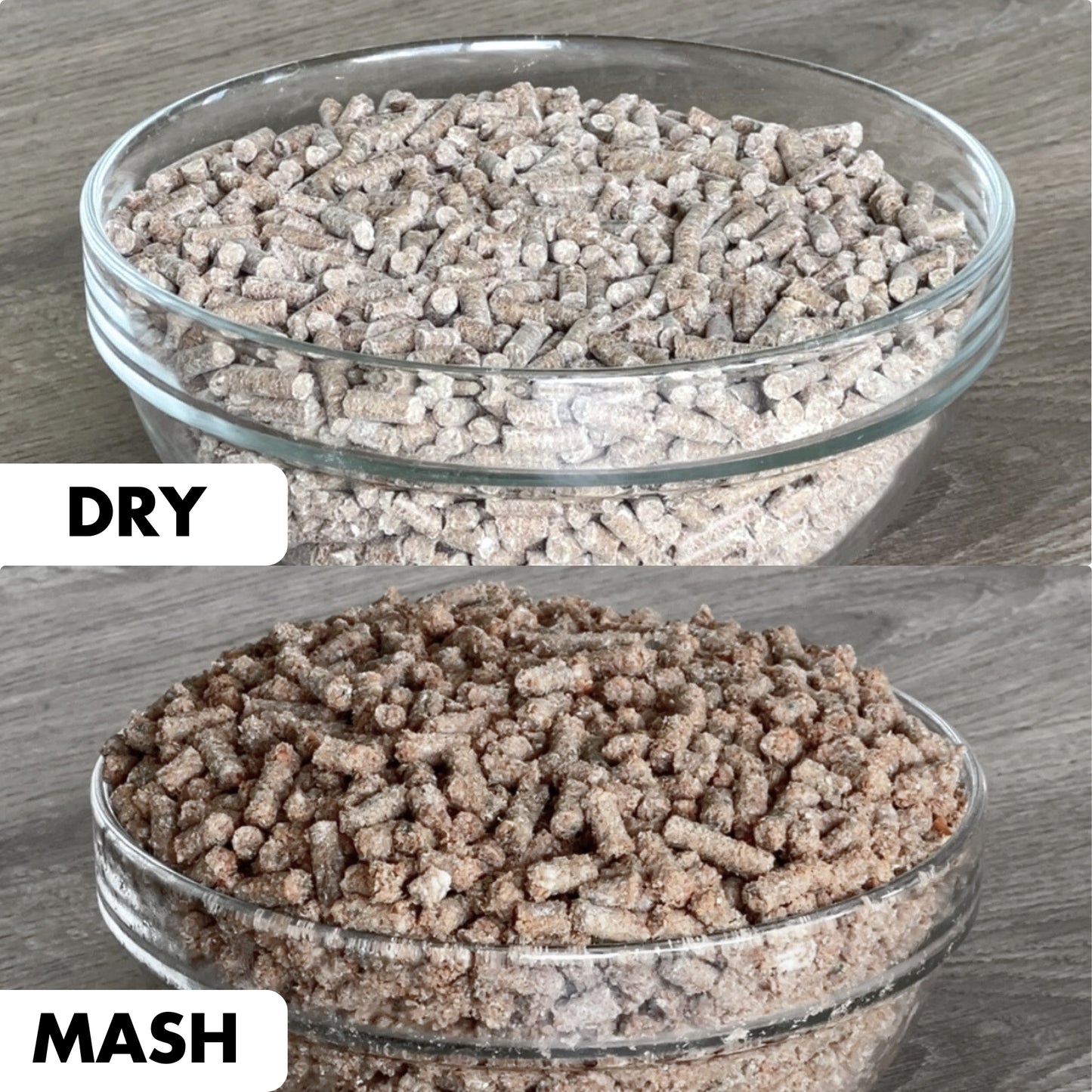 CEN Grain-Free Complete Horse Feed