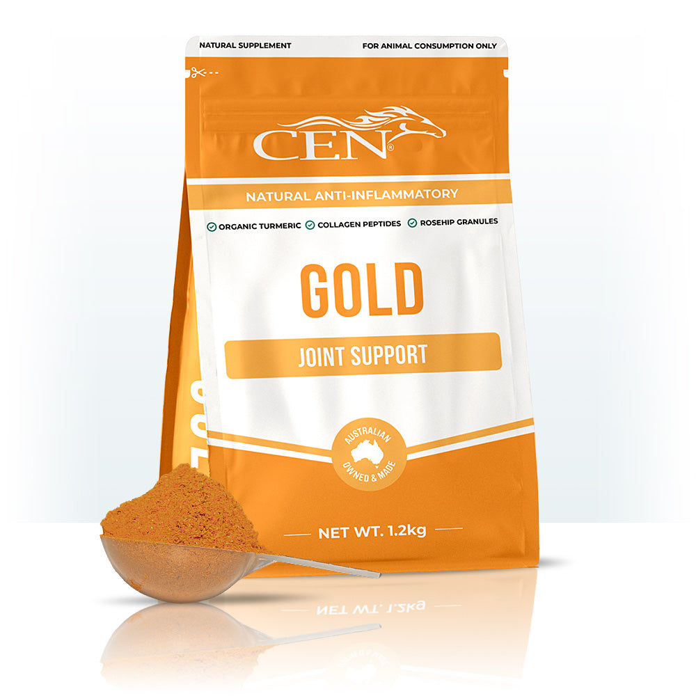 CEN GOLD